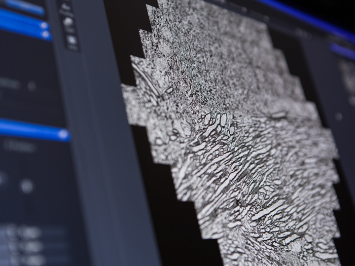1680849064817055.jpg MultiSEM_software_screenshot.jpg